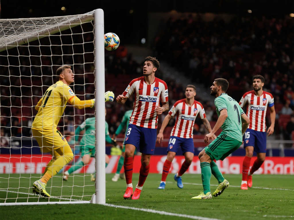 到球队竞技 到球队竞技